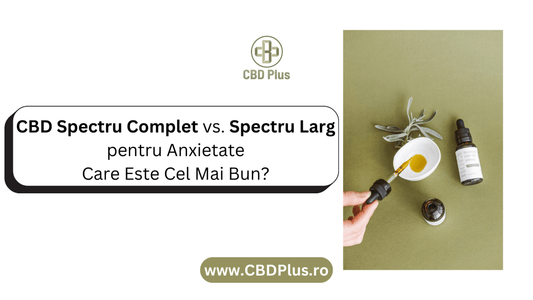 CBD Spectru Complet vs. Spectru Larg pentru Anxietate: Care Este Cel Mai Bun? - CBD Plus
