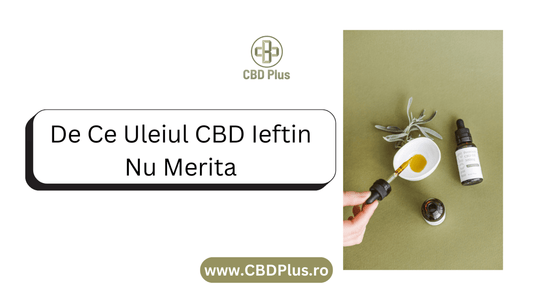 De Ce Uleiul CBD Ieftin Nu Merita - CBD Plus