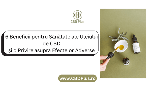 6 Beneficii pentru Sănătate ale Uleiului de CBD — și o Privire asupra Efectelor Adverse - CBD Plus