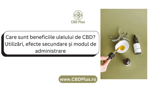 Care sunt beneficiile uleiului de CBD? Utilizări, efecte secundare și modul de administrare - CBD Plus