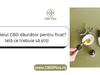 Este uleiul CBD dăunător pentru ficat? Iată ce trebuie să știți - CBD Plus