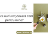 Ulei CBD – De ce nu funcționează CBD pentru mine? - CBD Plus