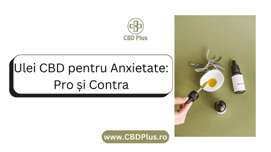 Ulei CBD pentru Anxietate - Pro și Contra - CBD Plus