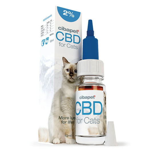 Ulei Cibdol CBD pentru Pisici 2% (10ml) - CBD Plus